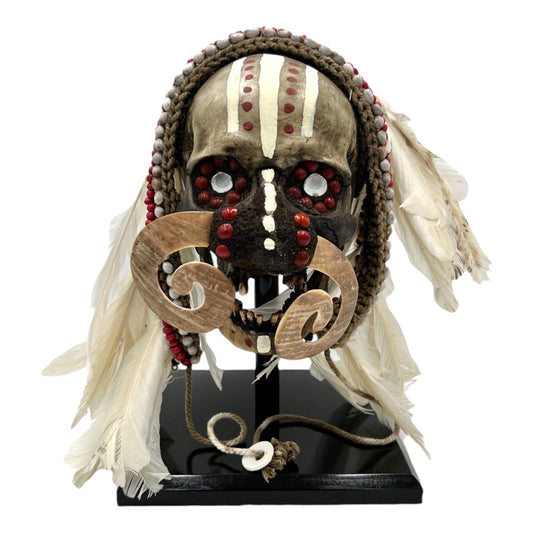 Asmat Tribal Skull