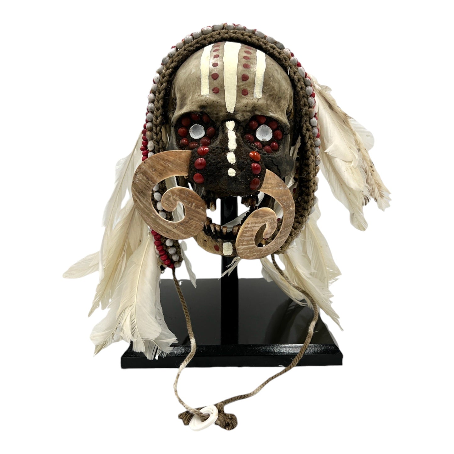 Asmat Tribal Skull