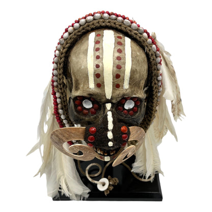 Asmat Tribal Skull