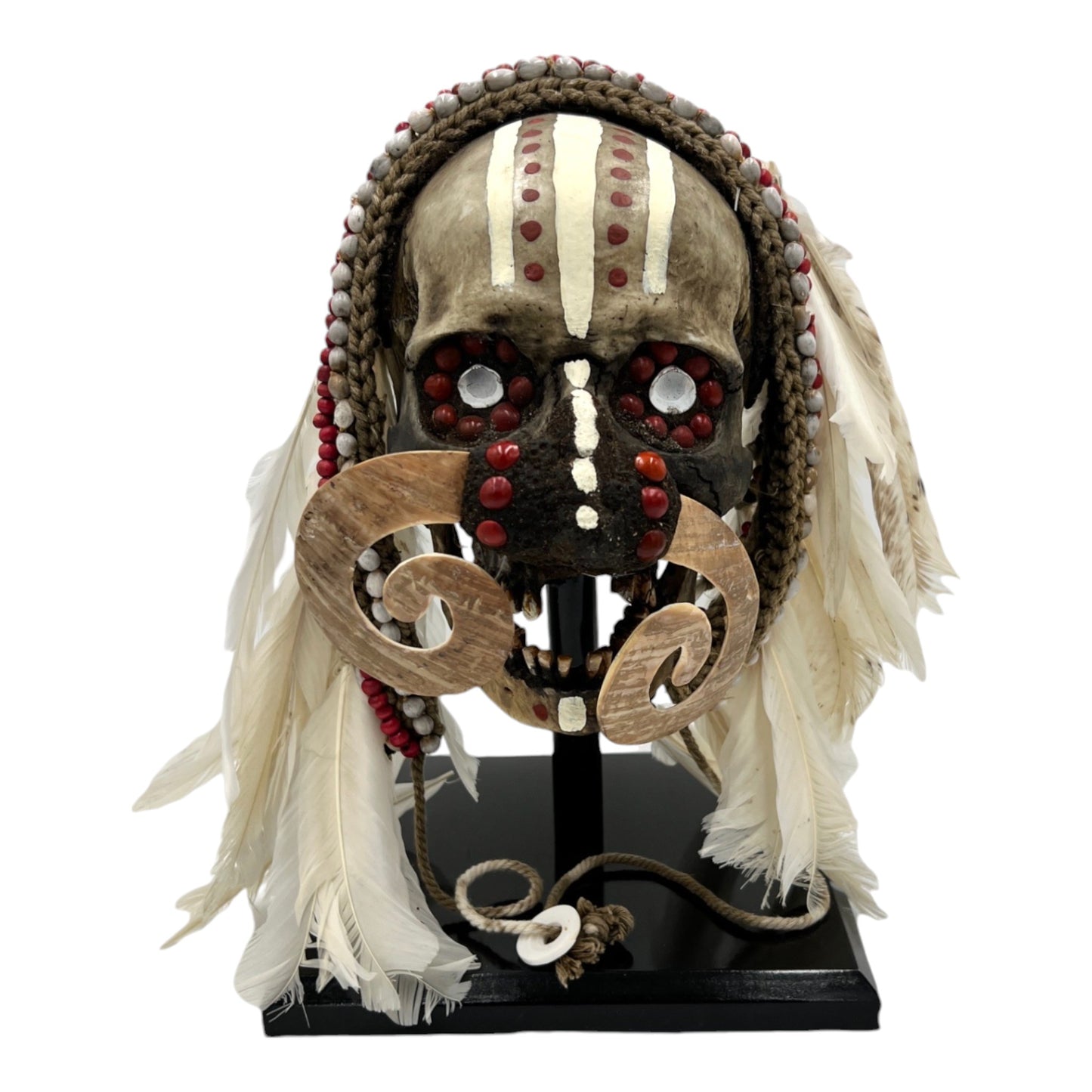 Asmat Tribal Skull