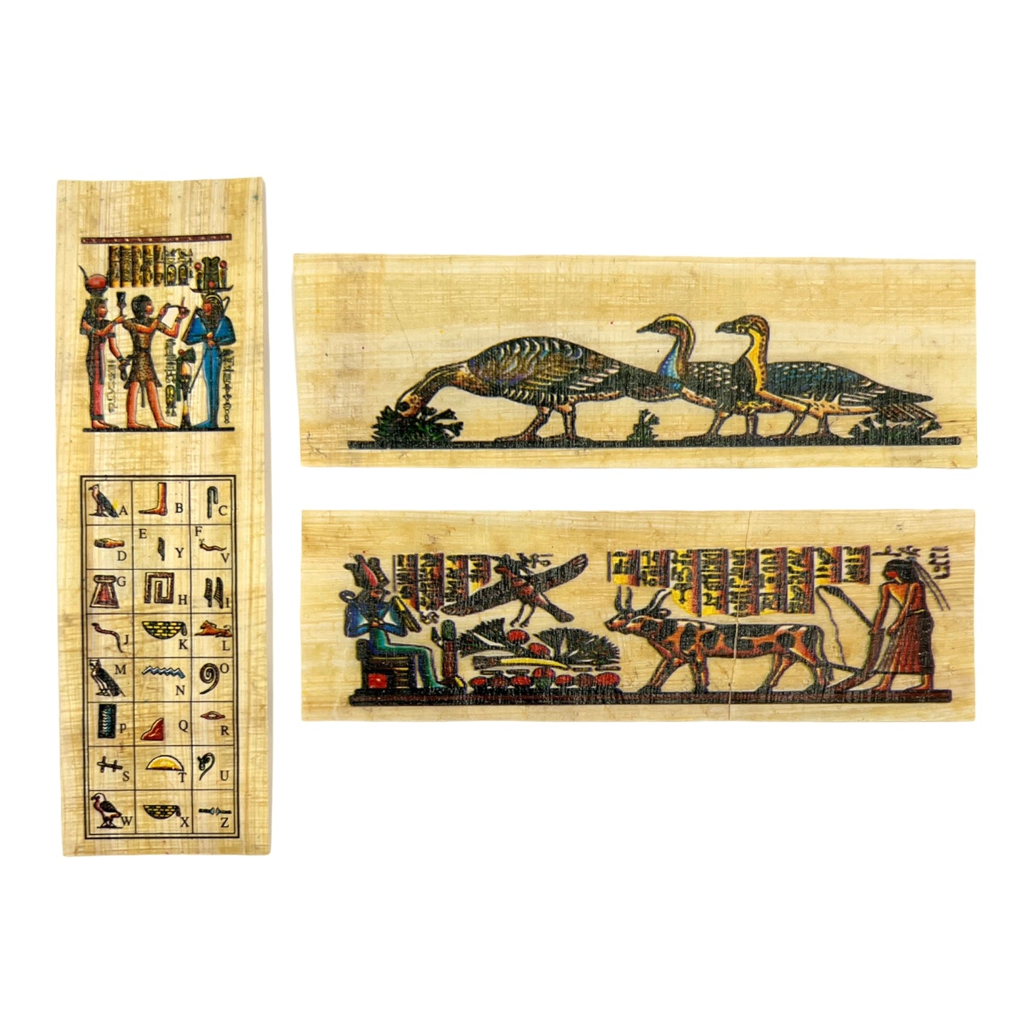 Papyrus Bookmarks (Set of 3)