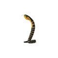 Coilkins Snake