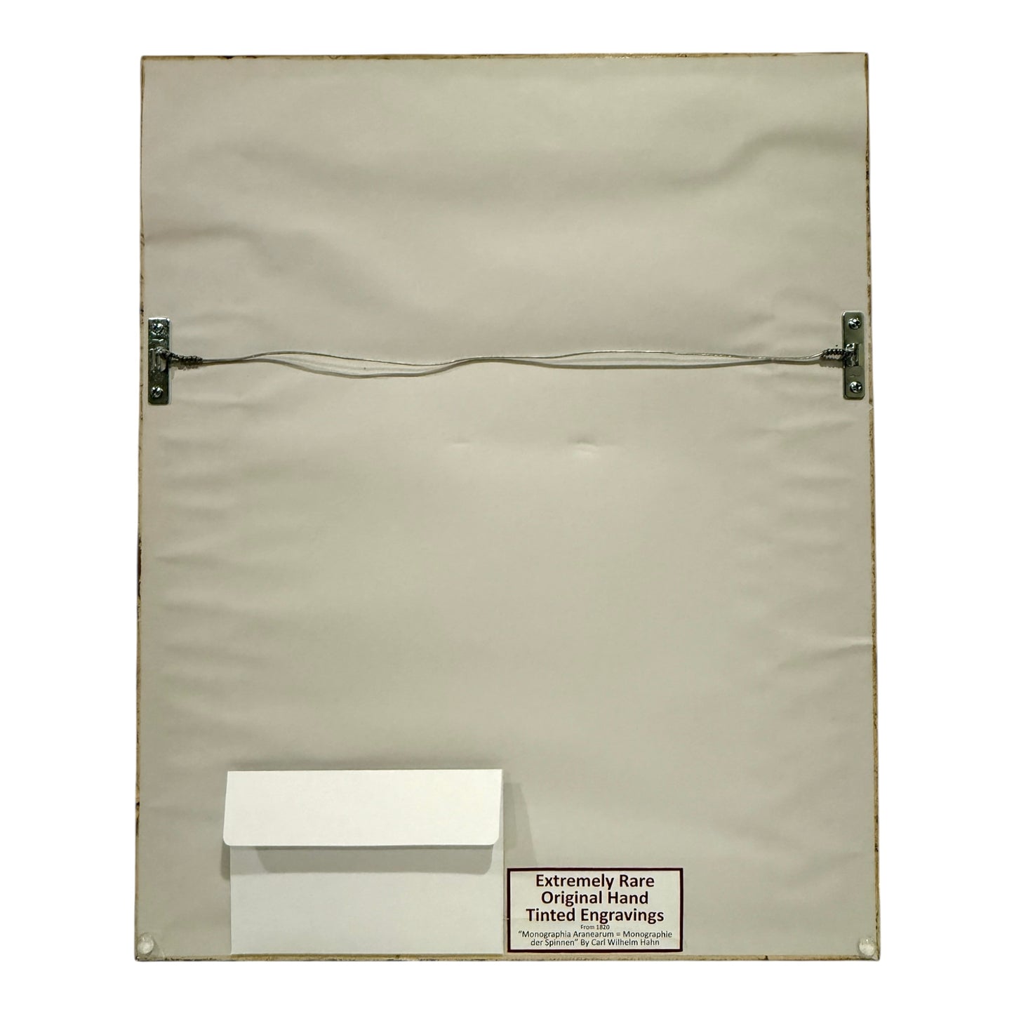 Epeira Clavipes - Framed Art by Carl Wilhelm Hahn