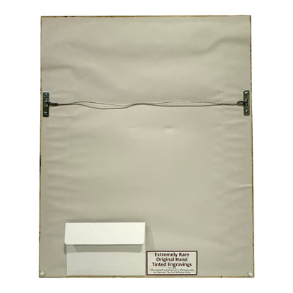 Epeira Clavipes - Framed Art by Carl Wilhelm Hahn