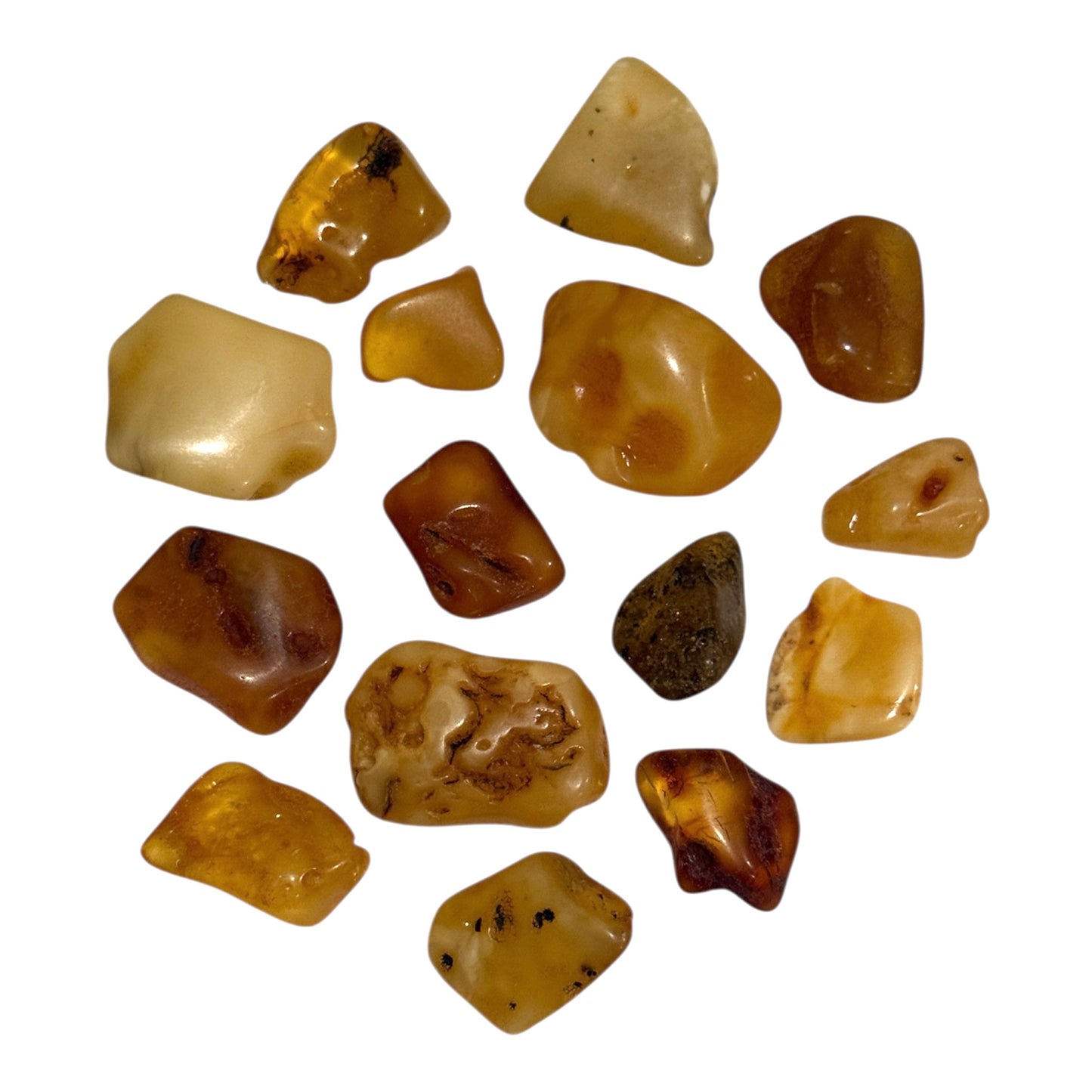 Baltic Amber (1 Piece)