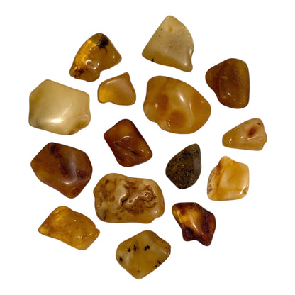 Baltic Amber (1 Piece)