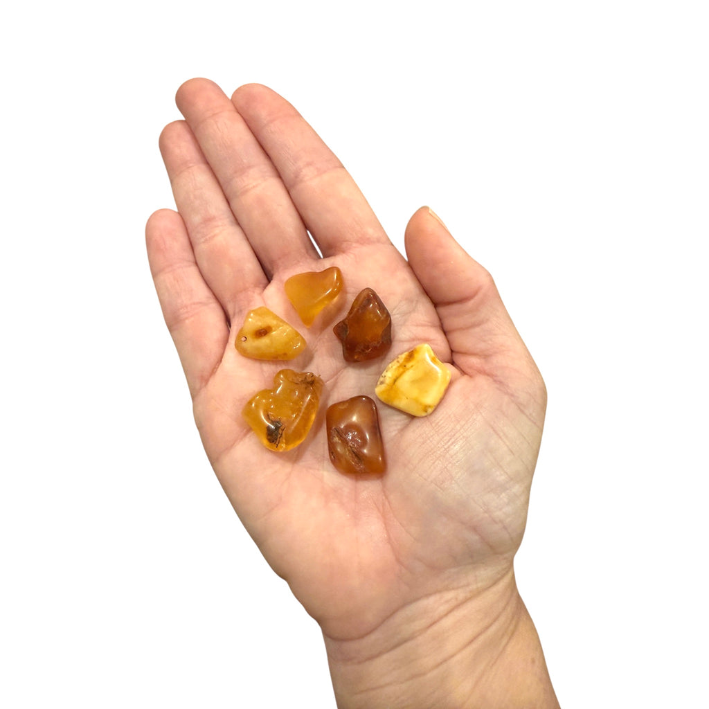 Baltic Amber (1 Piece)