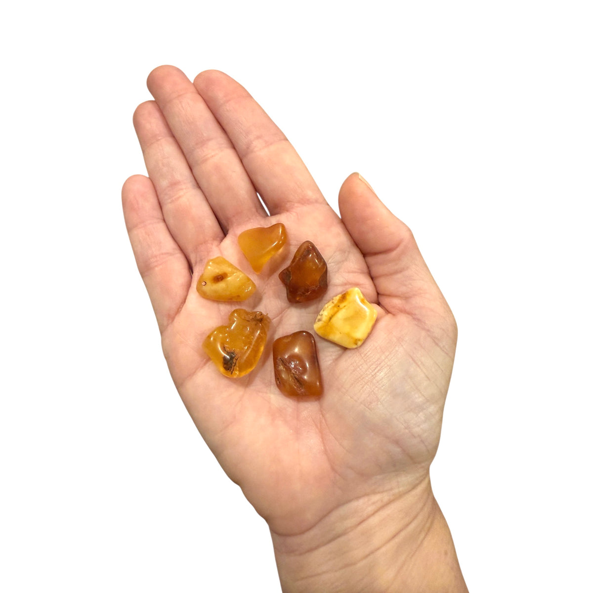 Baltic Amber (1 Piece)