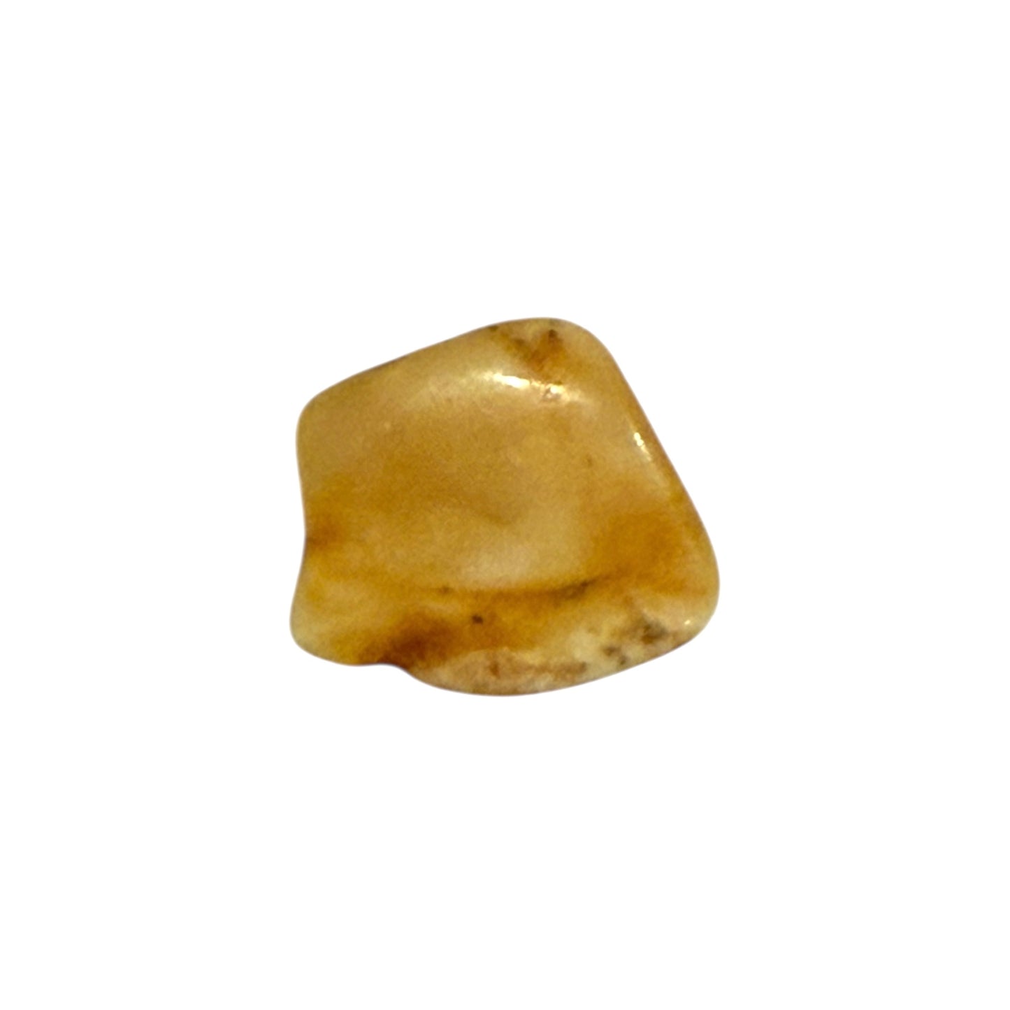 Baltic Amber (1 Piece)