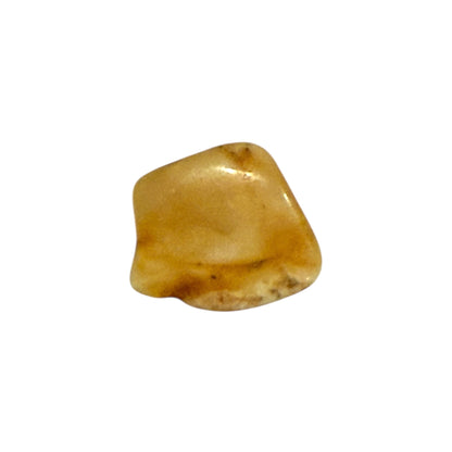 Baltic Amber (1 Piece)