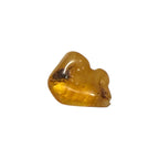 Baltic Amber (1 Piece)
