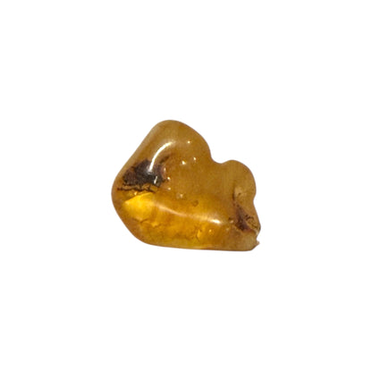 Baltic Amber (1 Piece)