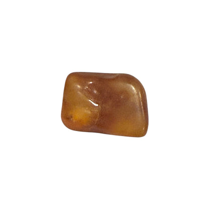 Baltic Amber (1 Piece)