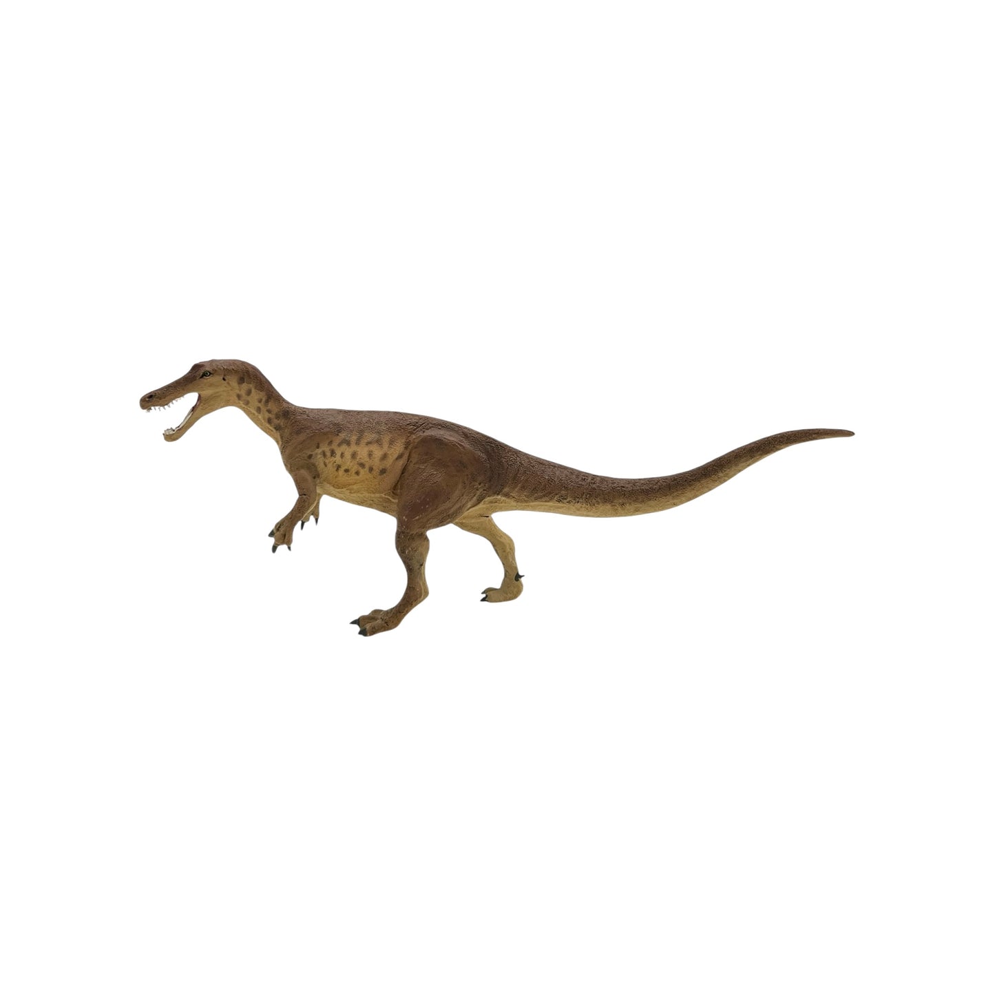 Baryonyx (Safari)