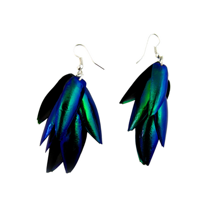 Beetle Wing Cluster Earrings