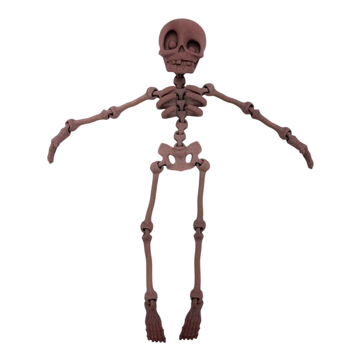 3D Printed Human Skeleton