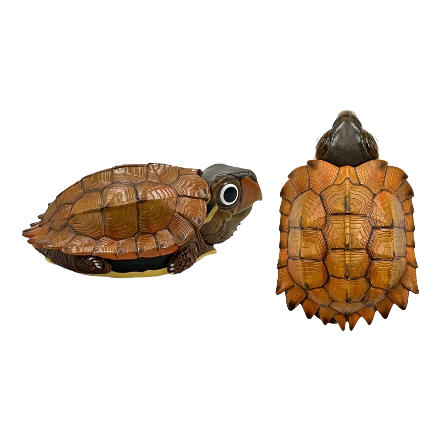 Turtle Statue (Series 19)