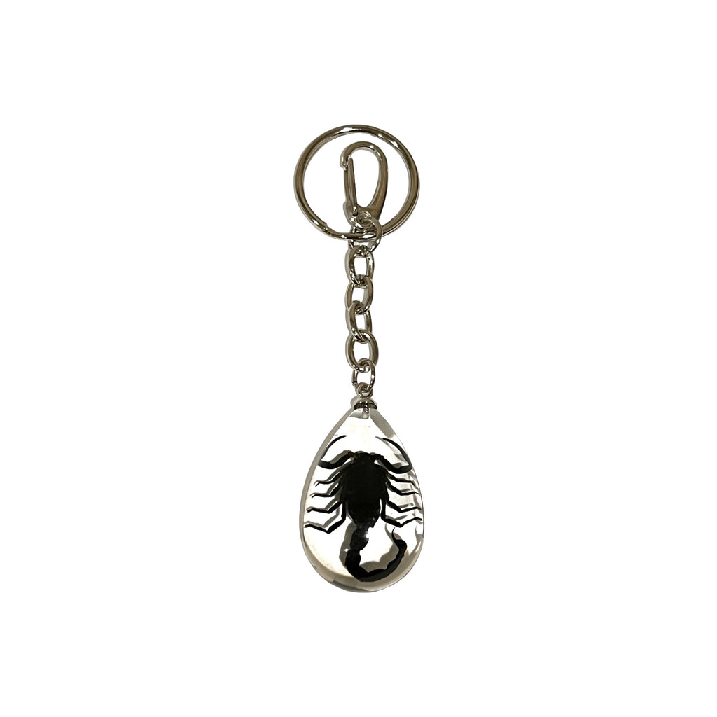 Scorpion Keychain