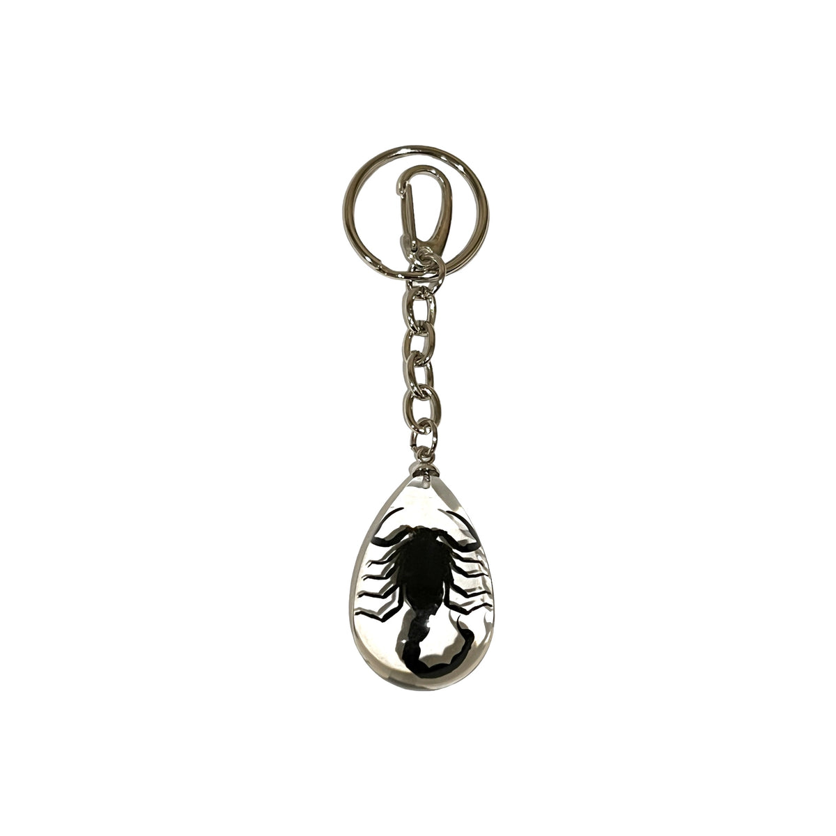 Scorpion Keychain