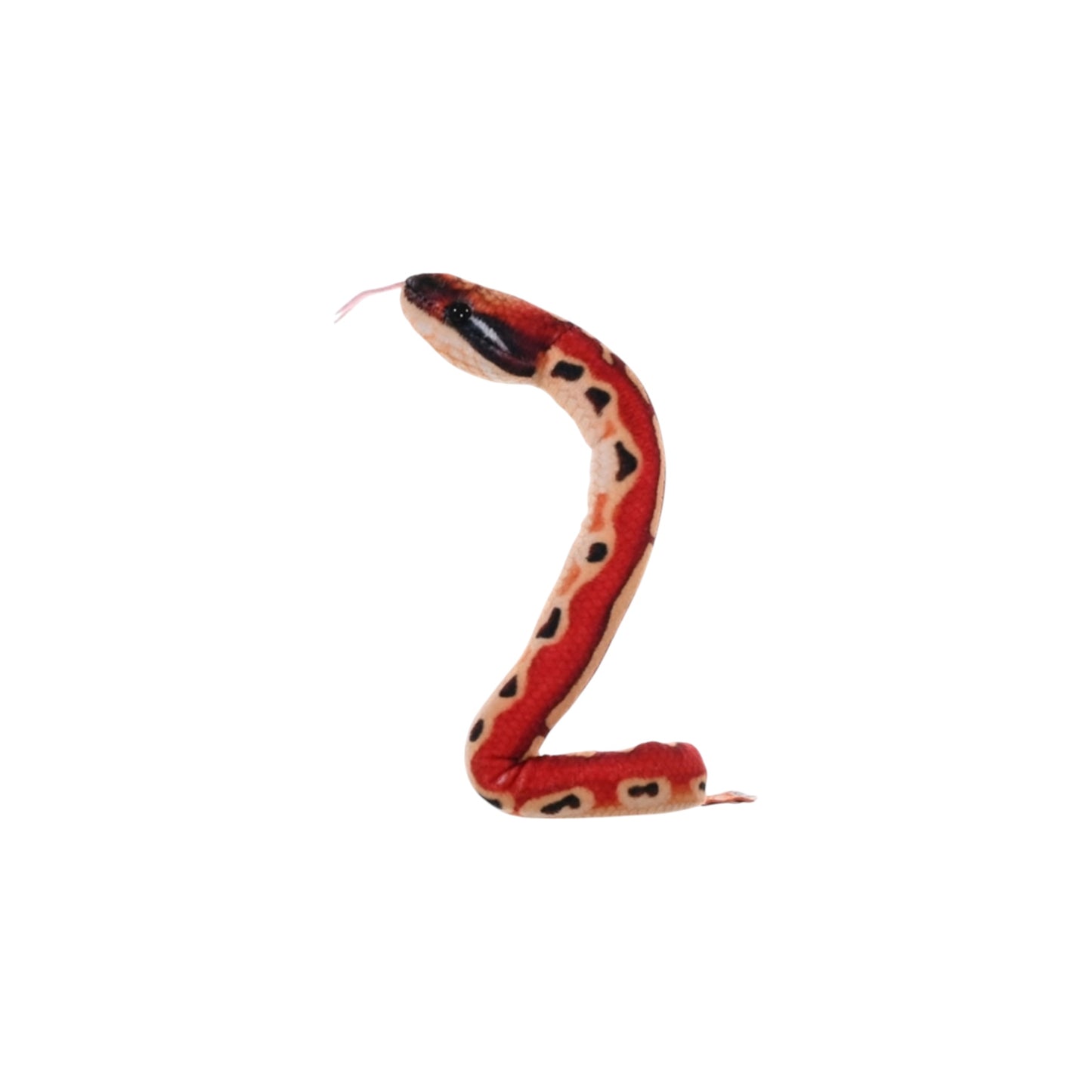 Coilkins Snake