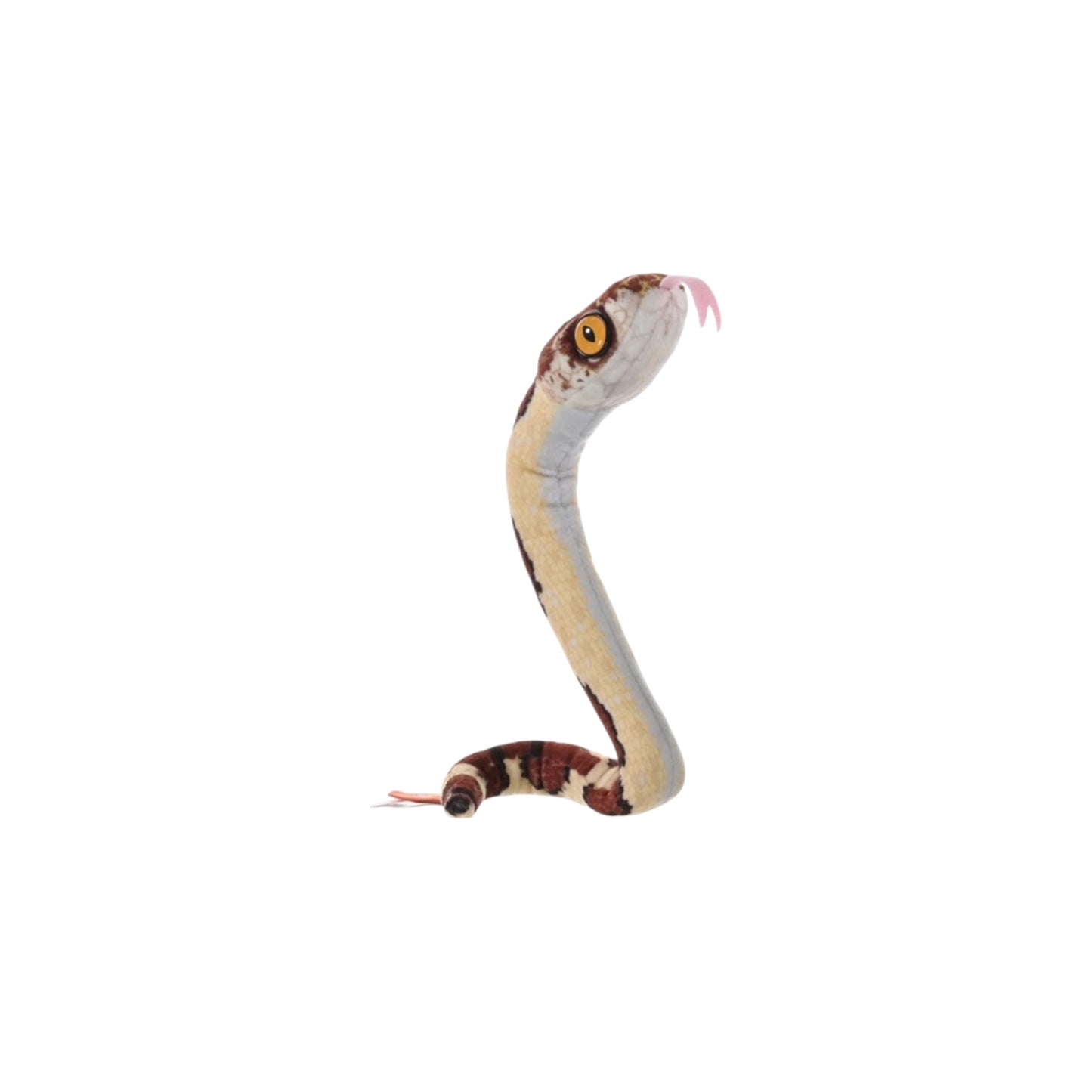 Coilkins Snake