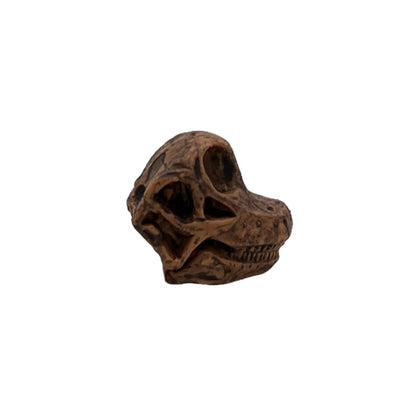 Dino Skulls (Safari)