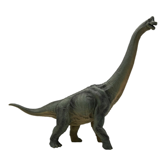 Brachiosaurus (Papo)