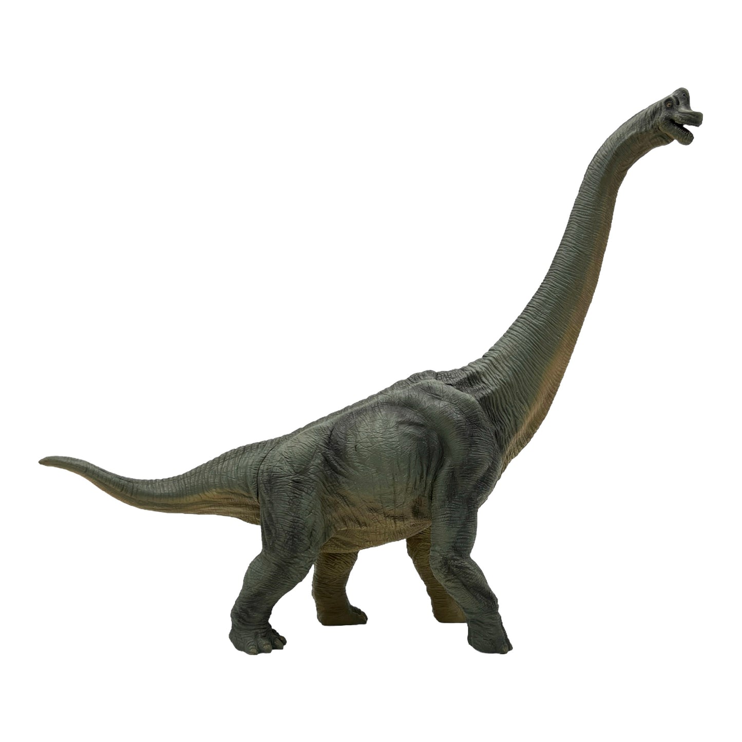 Brachiosaurus (Papo)