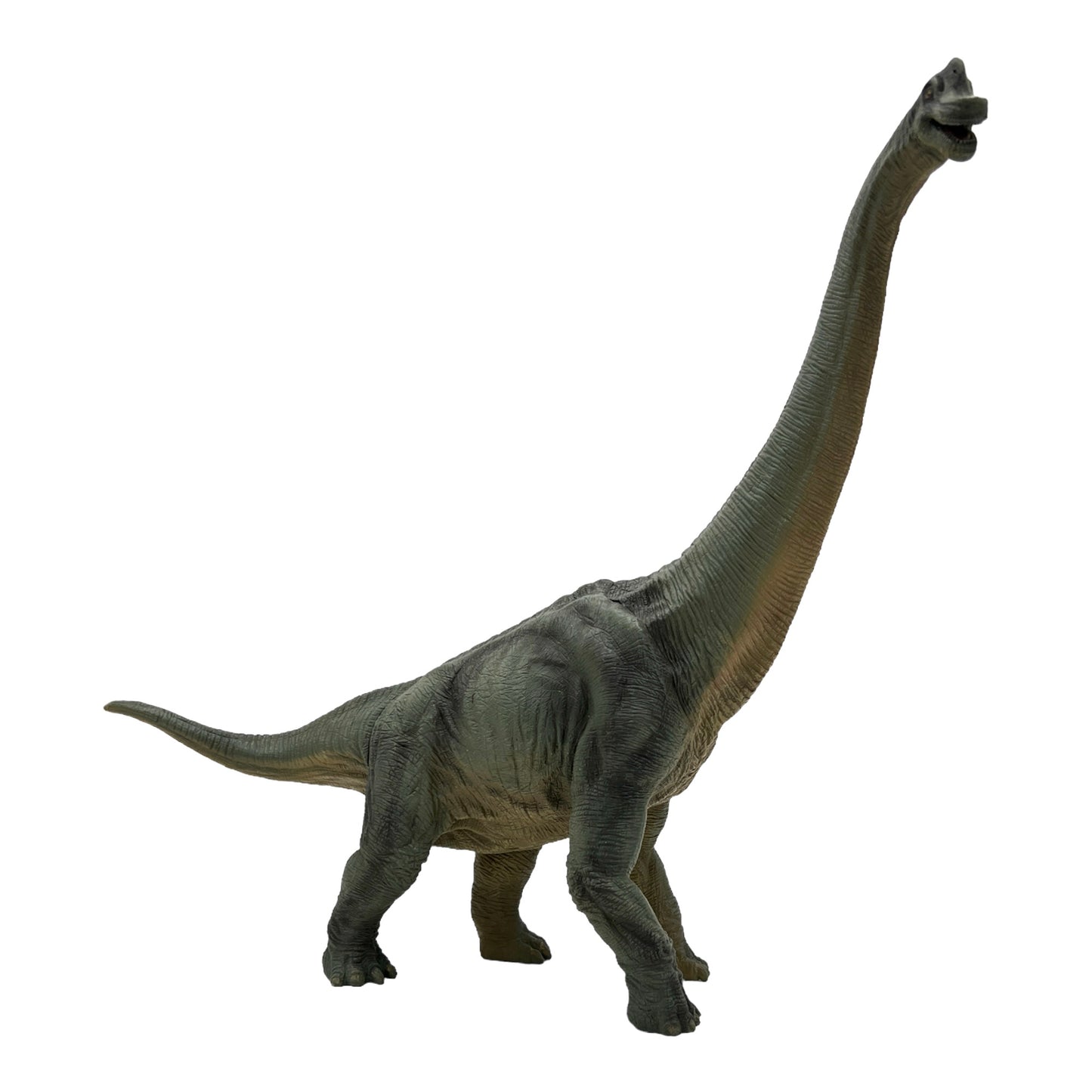 Brachiosaurus (Papo)