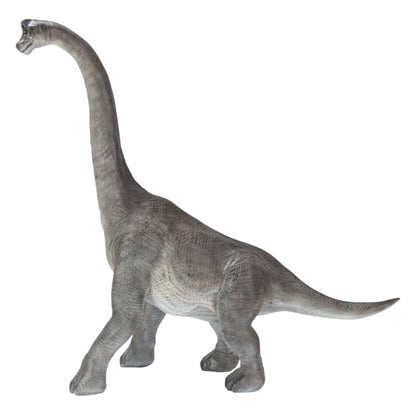 Brachiosaurus Model