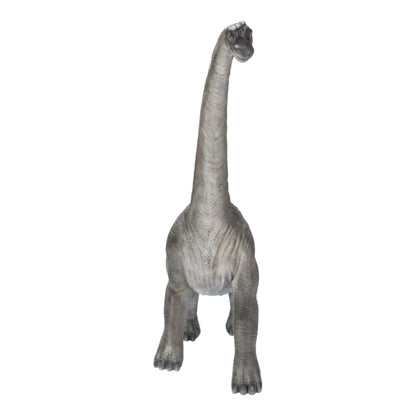 Brachiosaurus Model