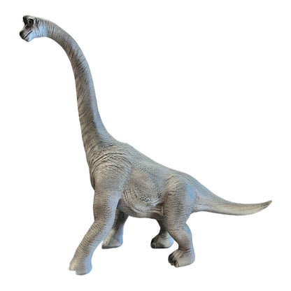 Brachiosaurus Model