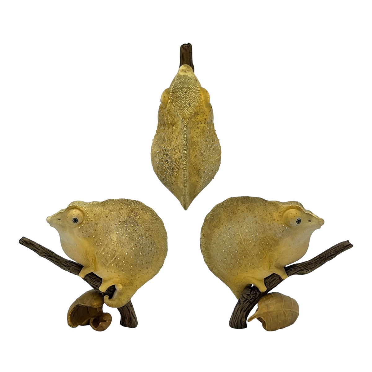 Chameleon Statue (Series 15)