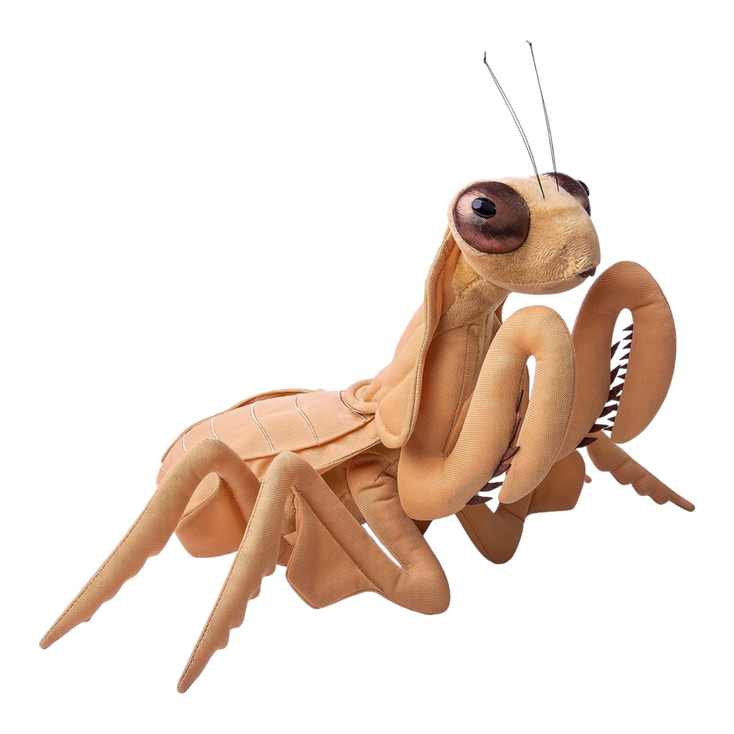 Praying Mantis Plush (Brown)