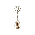 Scorpion Keychain