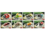 Bug Building Bricks (Small)