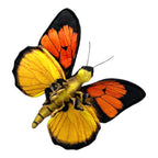 Butterfly Plush