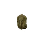 Calymene niagarensis Trilobite Fossil