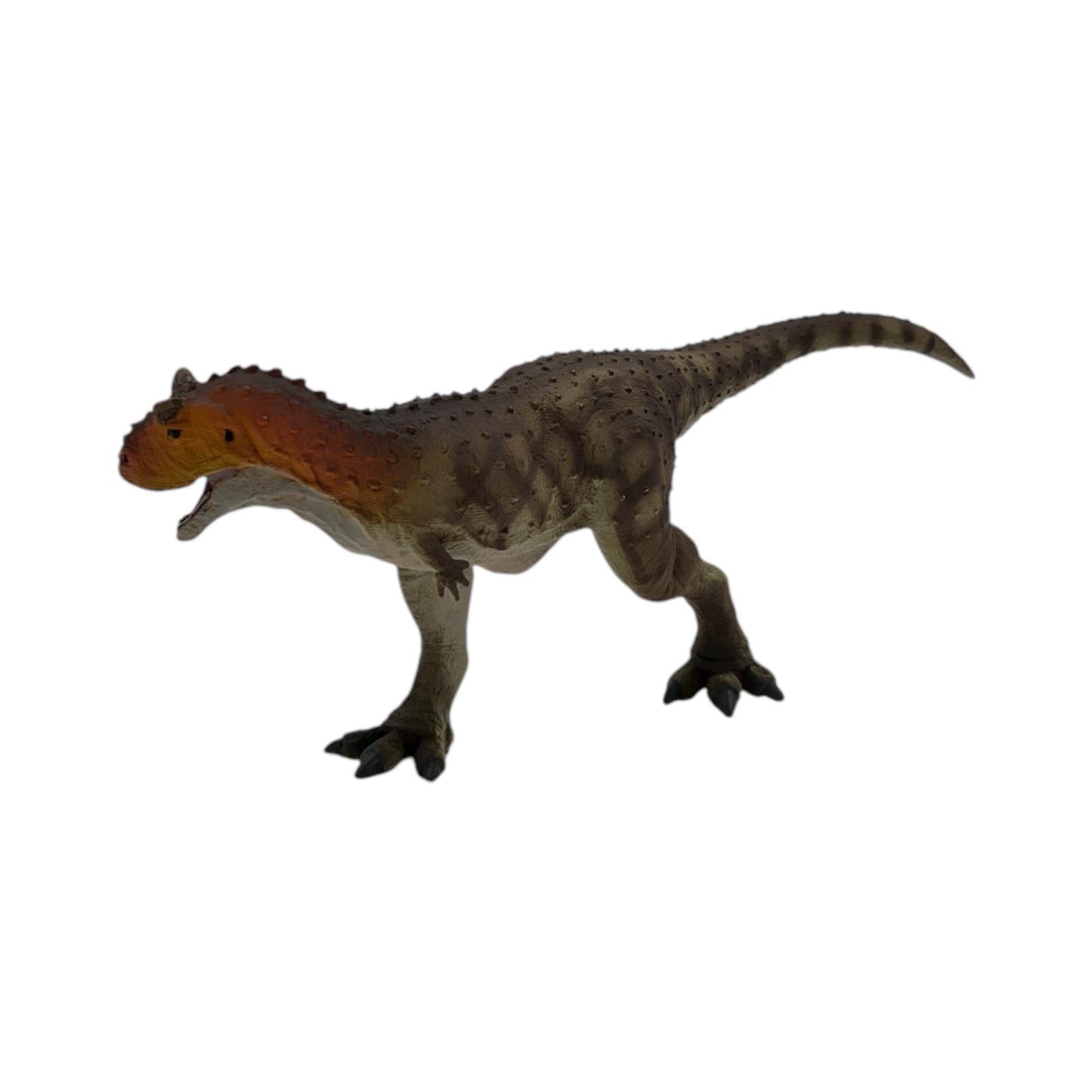 Carnotaurus (Safari)