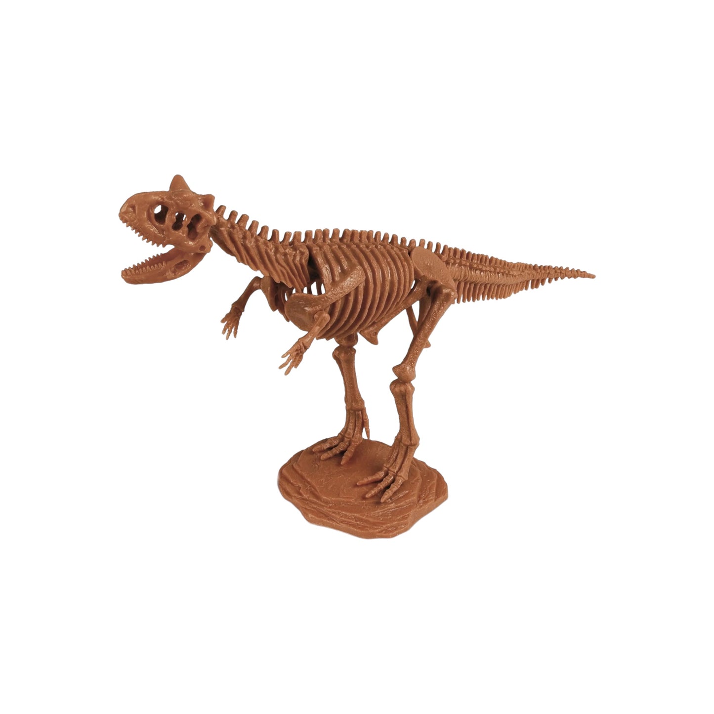 Dr. Steve Hunters Excavation Kit (Carnotaurus)