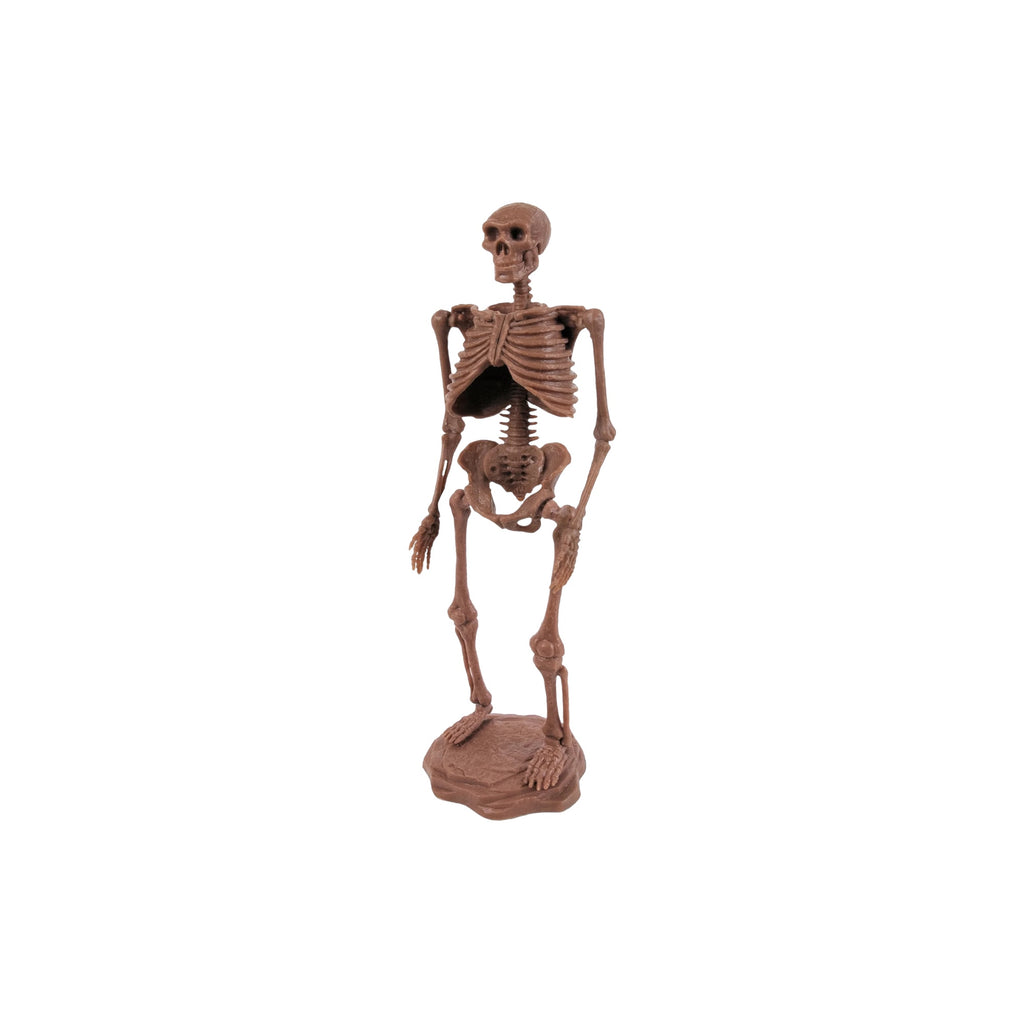 Dr. Steve Hunters Excavation Kit (Cave Man)