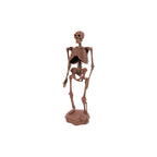 Dr. Steve Hunters Excavation Kit (Cave Man)