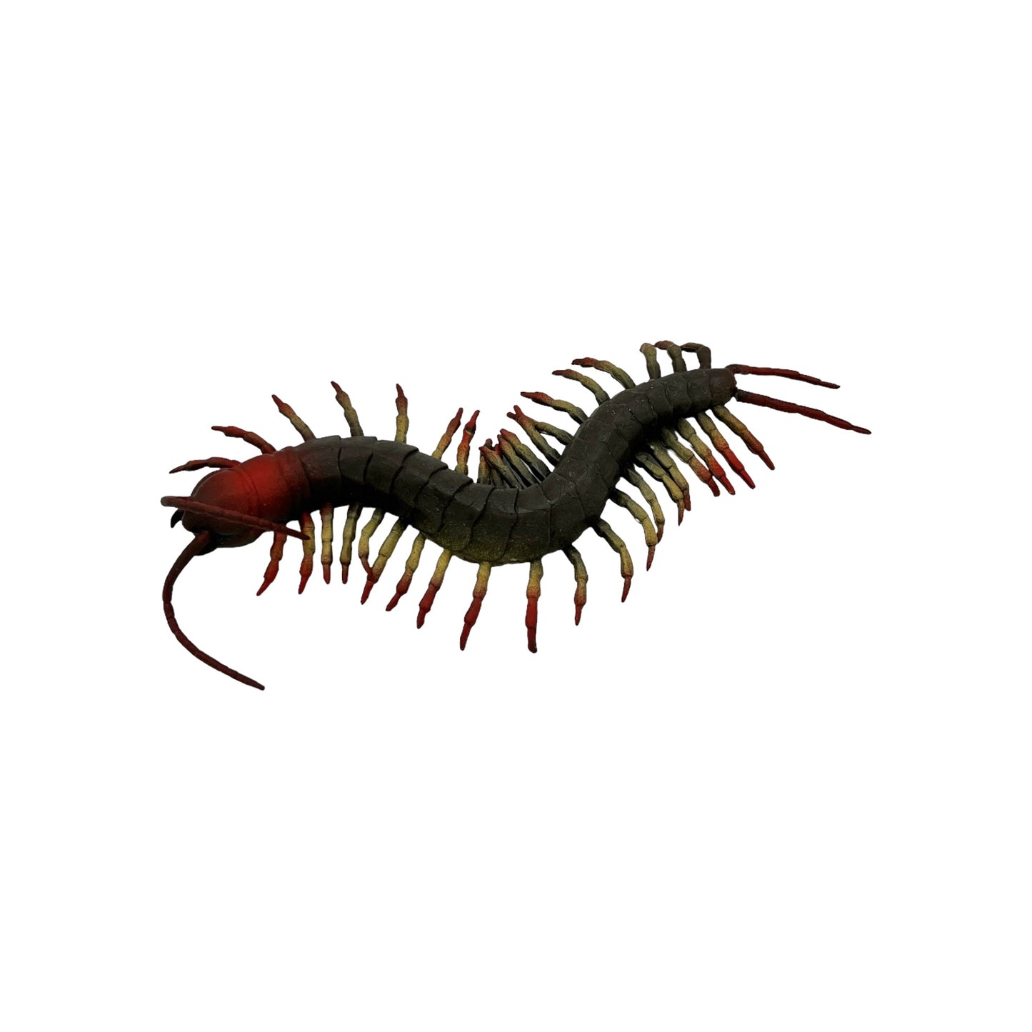 Centipede Rubber Toy