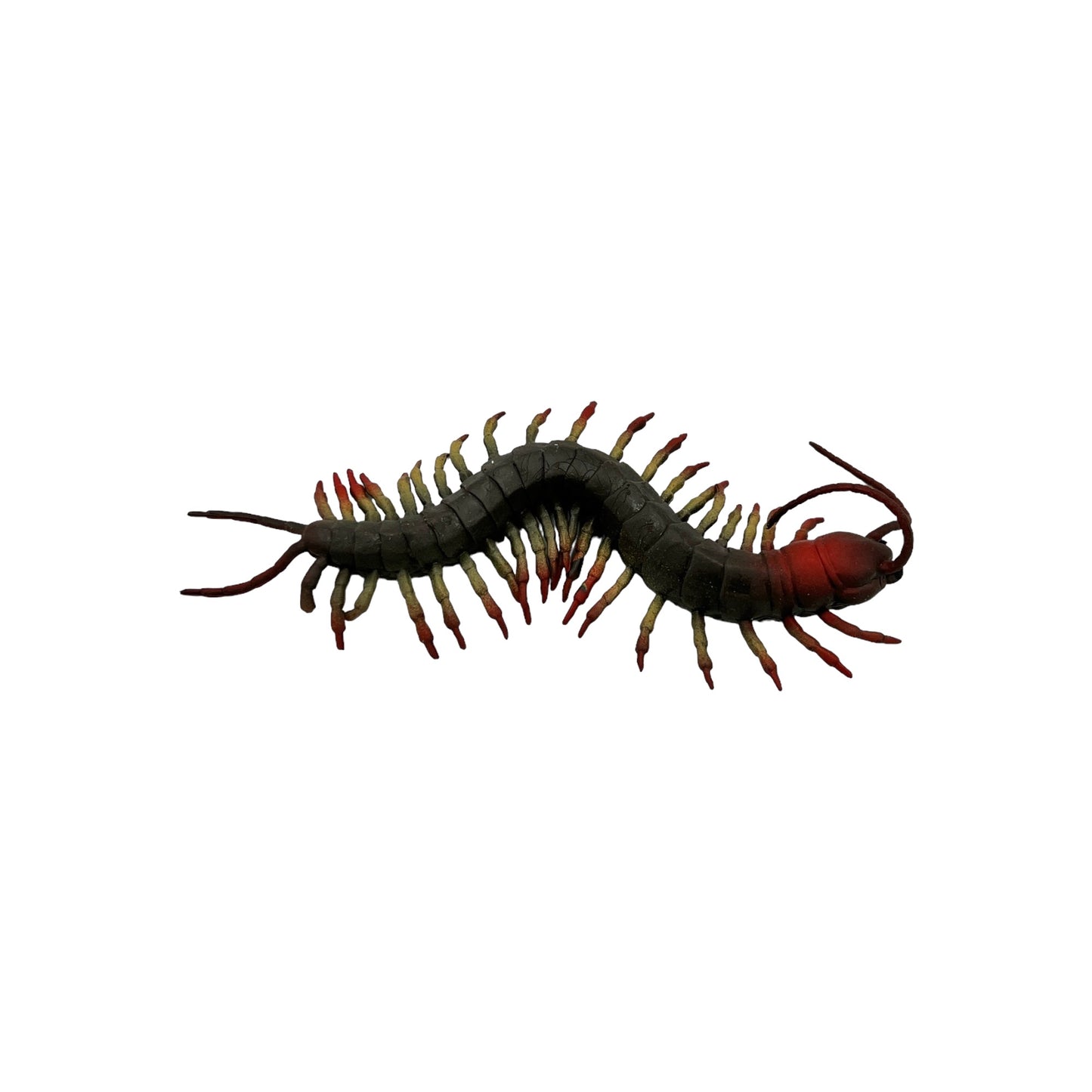 Centipede Rubber Toy