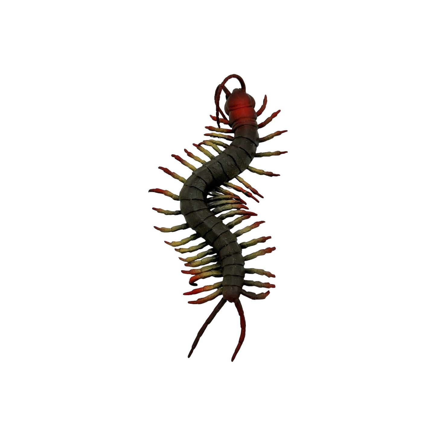 Centipede Rubber Toy