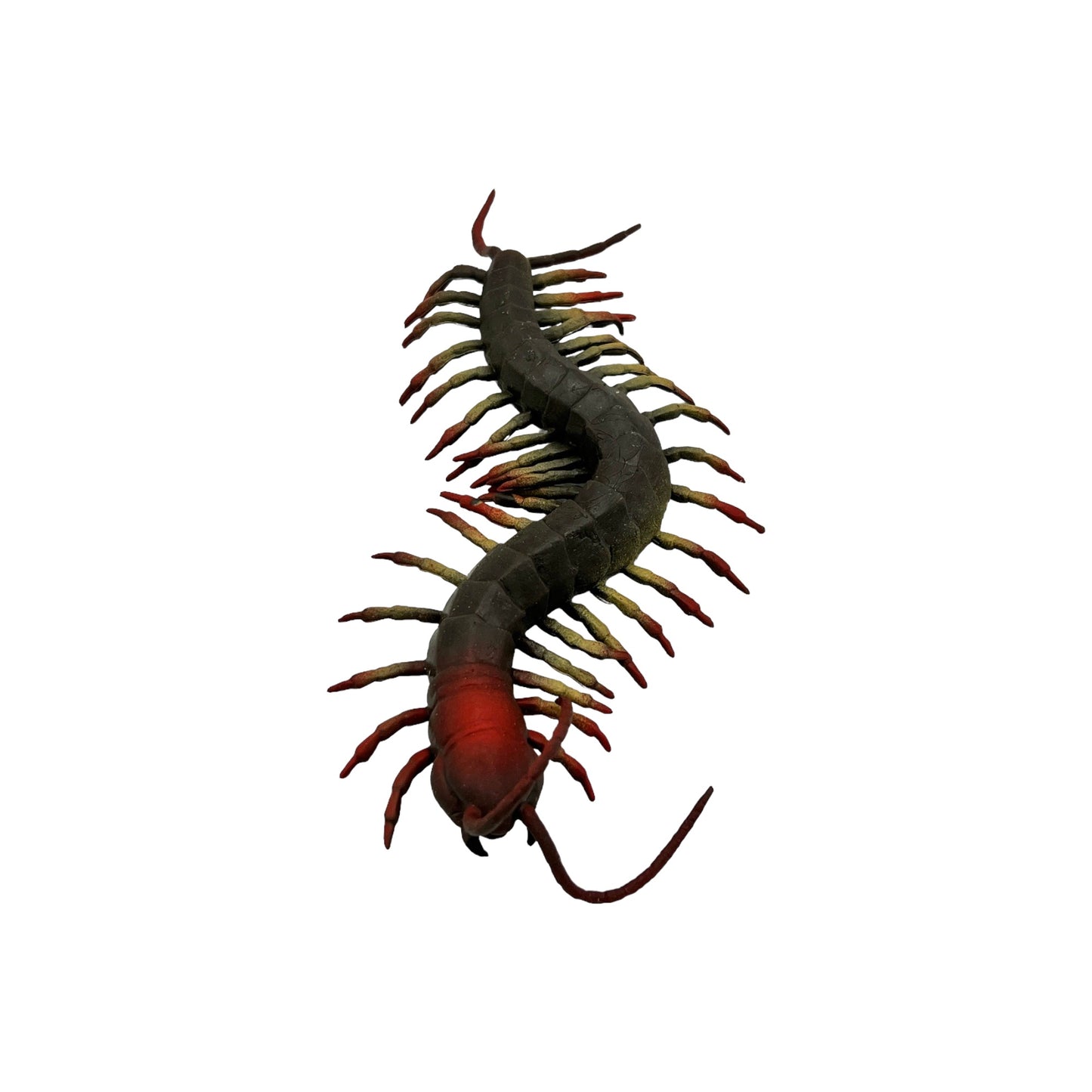 Centipede Rubber Toy