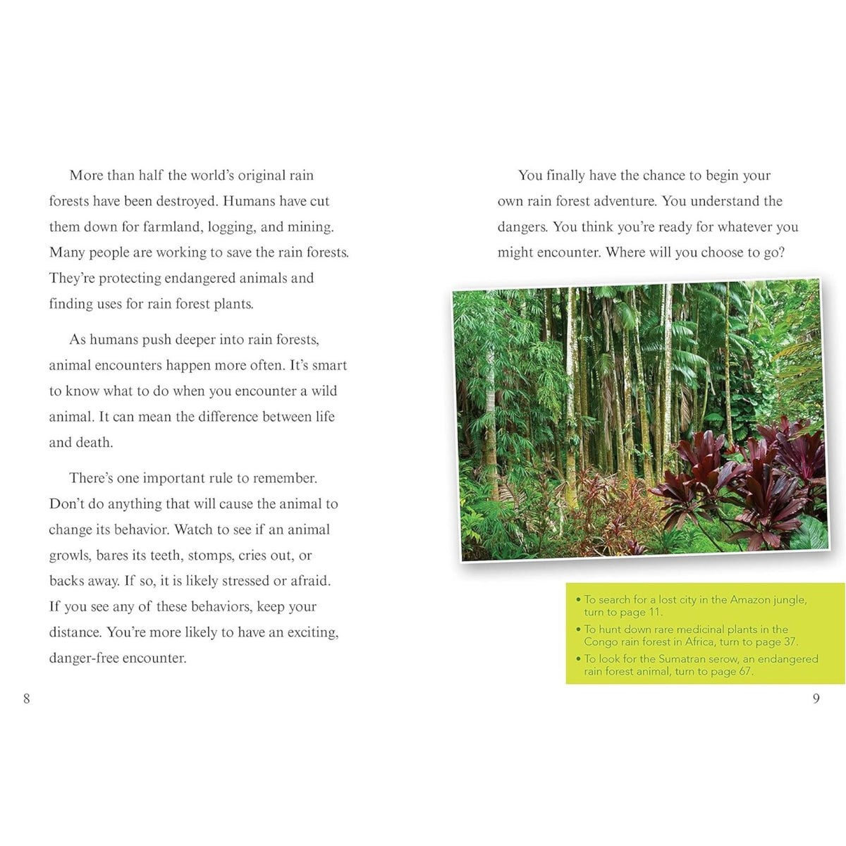 Can You Survive Deadly Rain Forest Encounters?