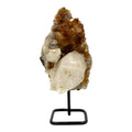 Citrine + Stand (11" Total Height)
