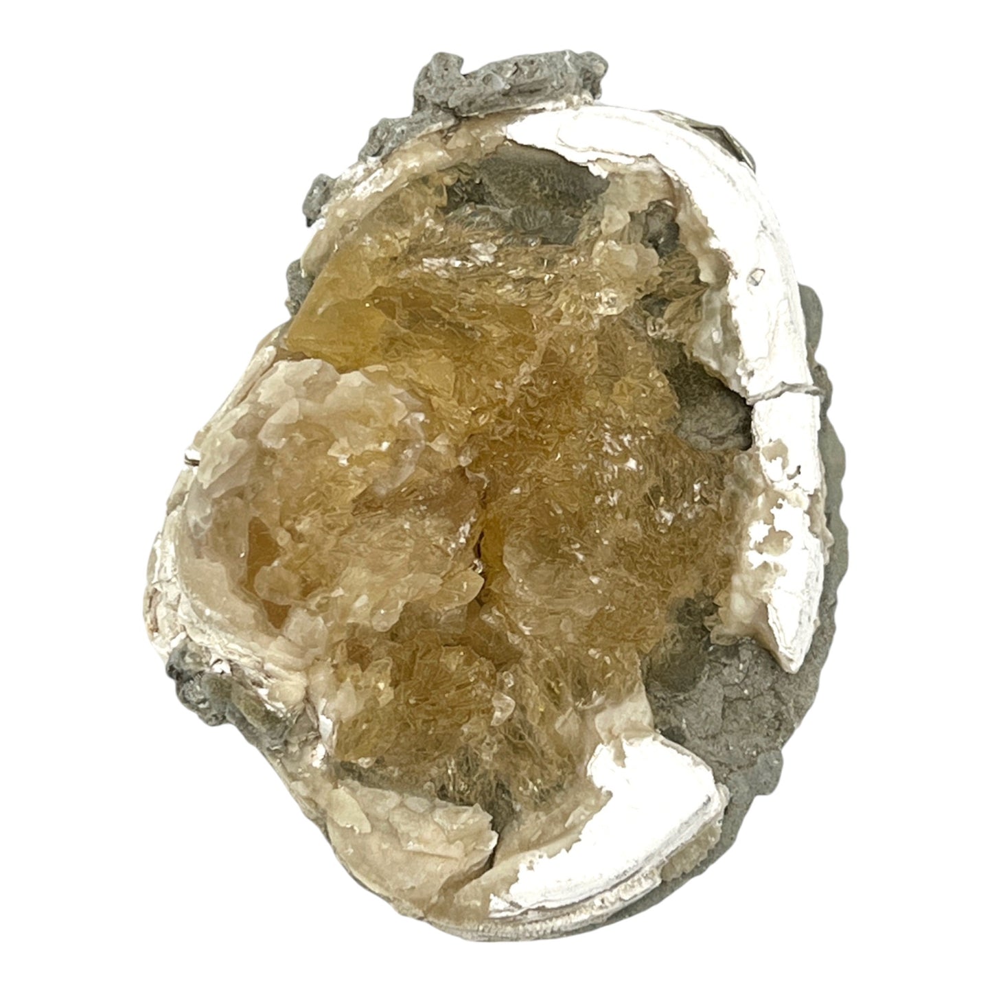 Fossilized Clam with Calcite