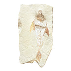 Fossil Fish Plate (Coccodus)